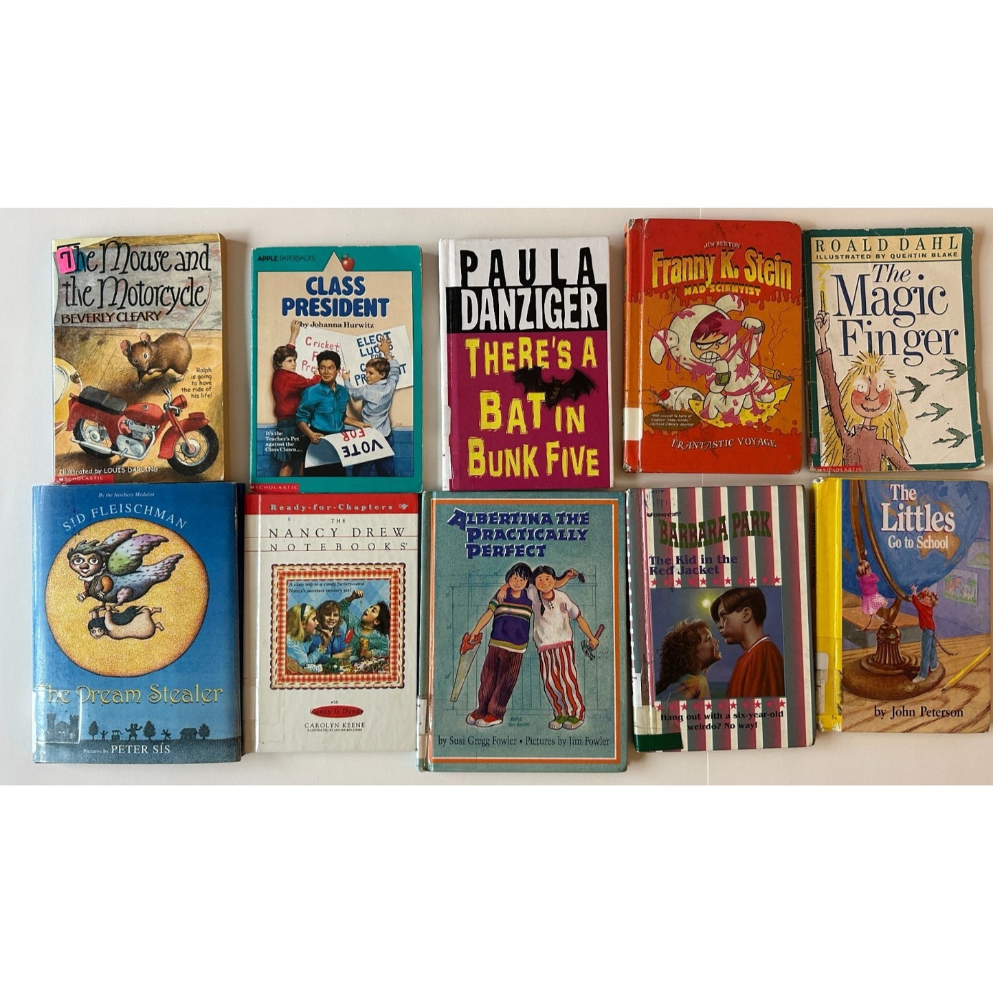 10 Book Lot Kids Chapter Books 3rd-4th Grade, Homeschool, Classroom, HomeLibrary