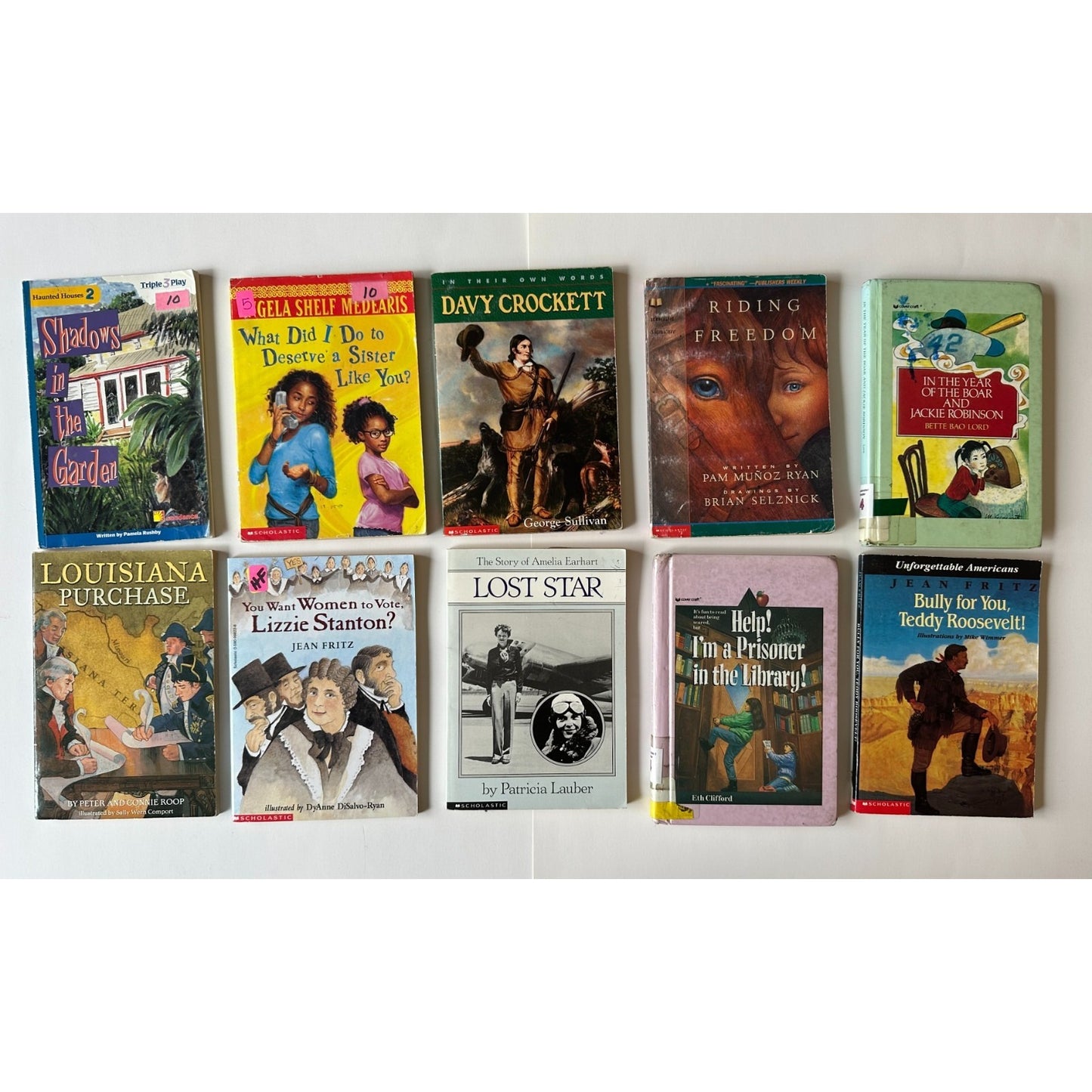 10 Book Lot Kids Chapter Books 3rd-5th Grade, Homeschool and Classroom Library