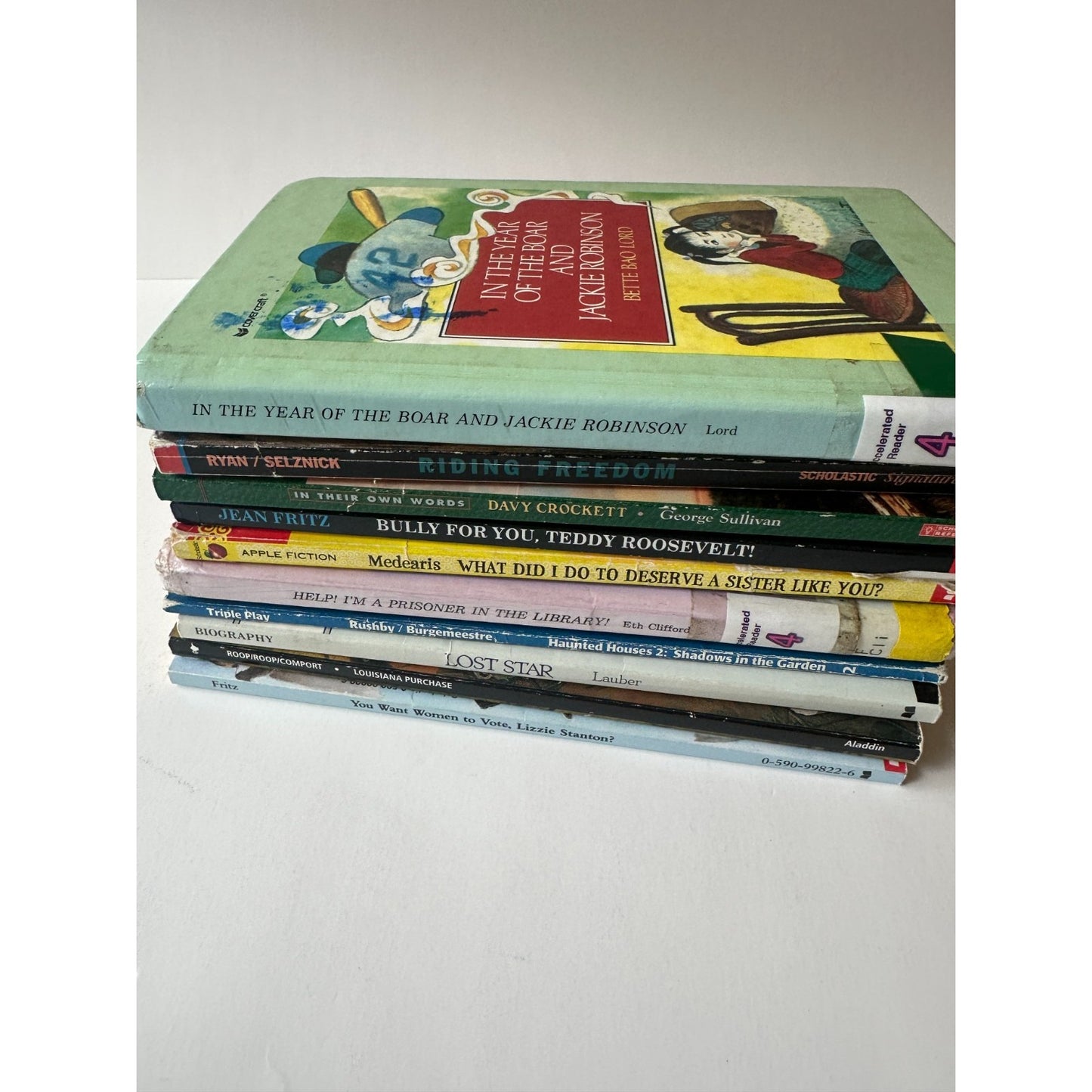 10 Book Lot Kids Chapter Books 3rd-5th Grade, Homeschool and Classroom Library