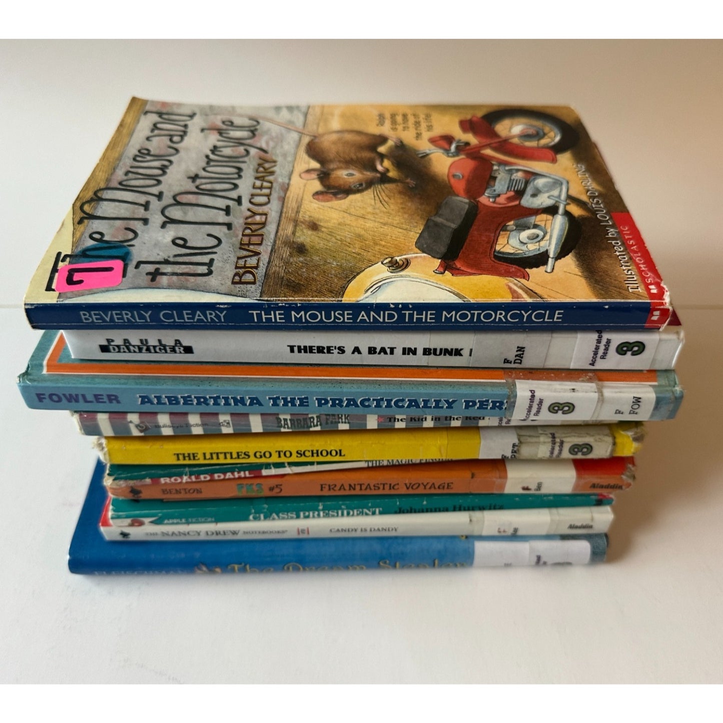10 Book Lot Kids Chapter Books 3rd-4th Grade, Homeschool, Classroom, HomeLibrary