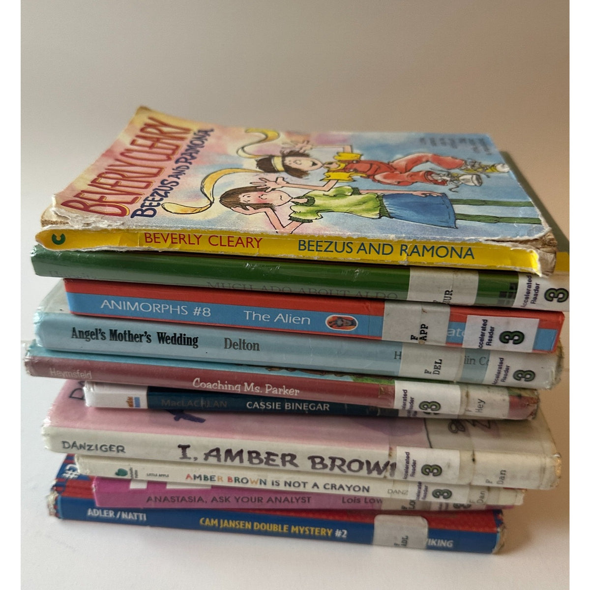 10 Book Lot Kids Chapter Books 3rd-4th Grade, Homeschool, Classroom, HomeLibrary