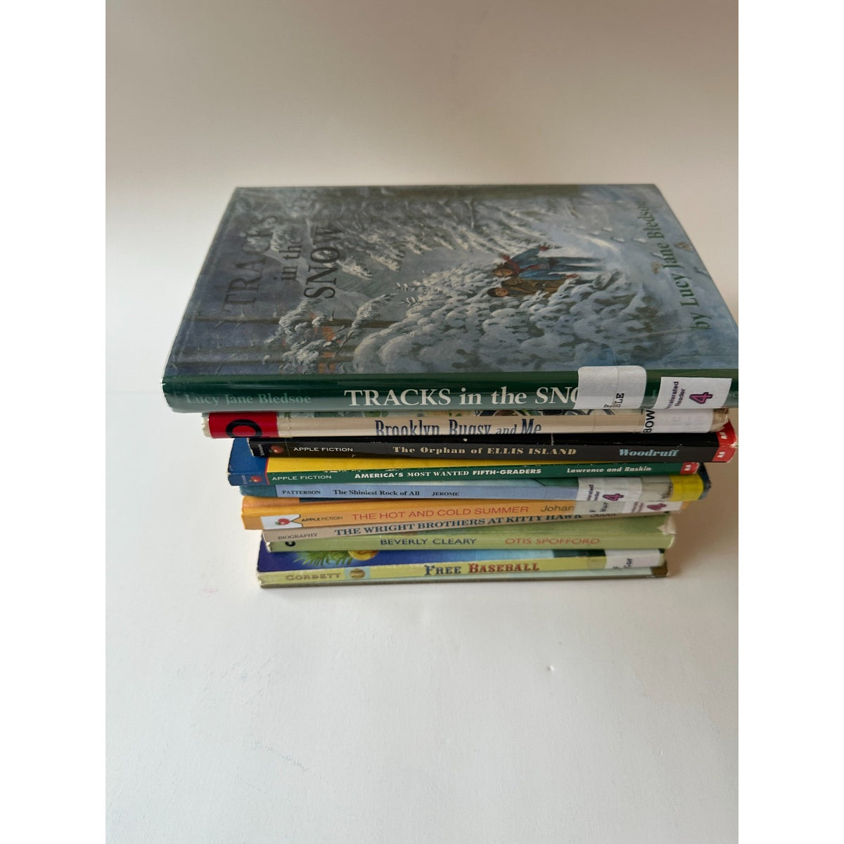 Lot of 10 Chapter Books A- Fourth Grade - Classroom or Homeschool Library