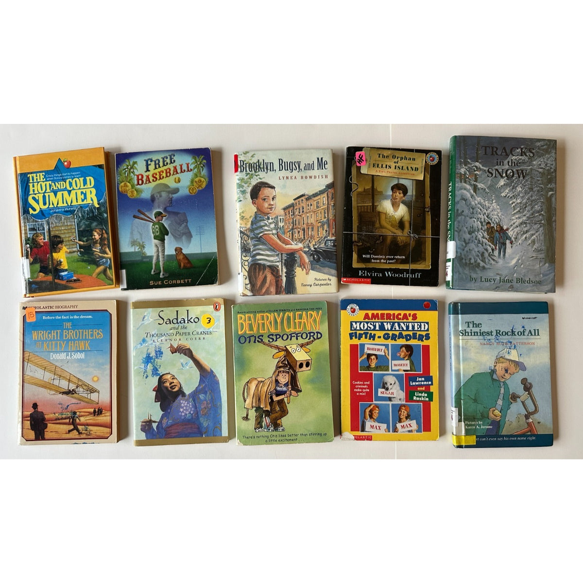Lot of 10 Chapter Books - Fourth and Fifth Grade - Classroom/Homeschool