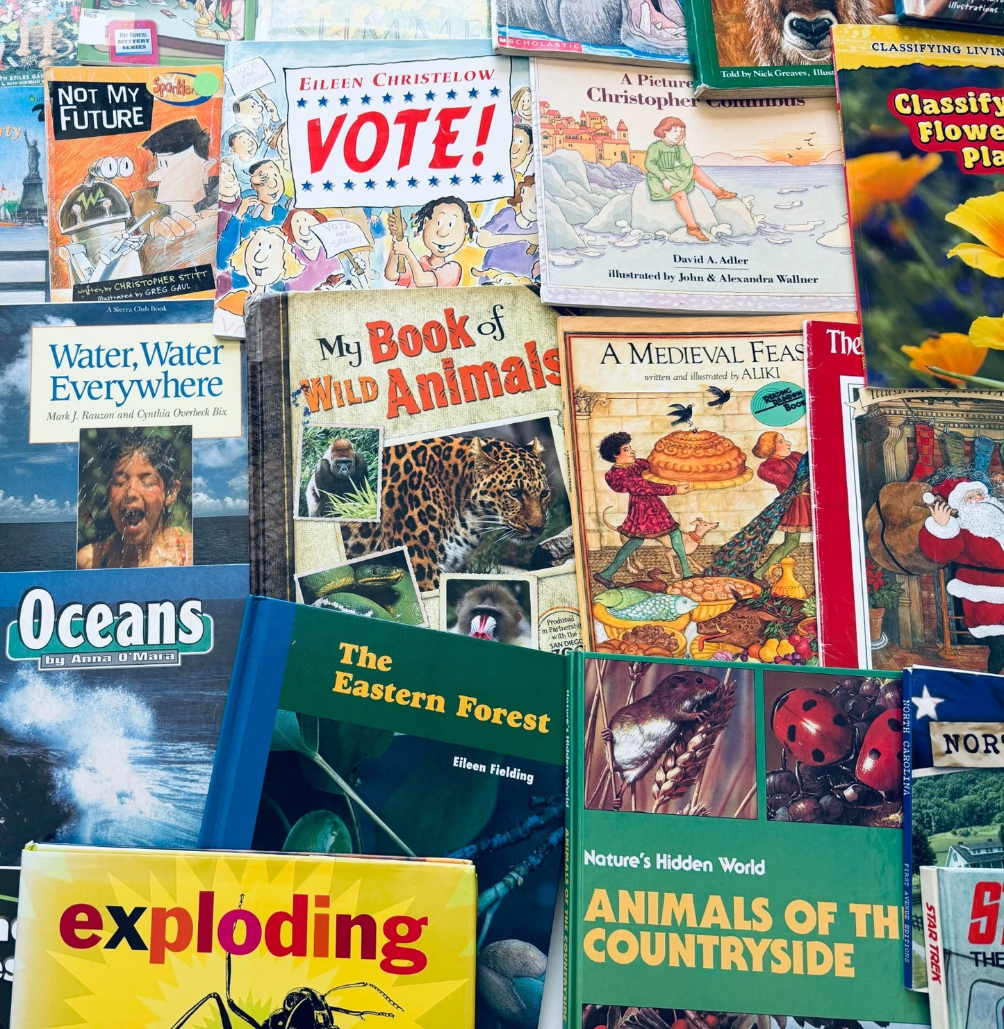 Lot of 20 Children's Books, Grades 2-3