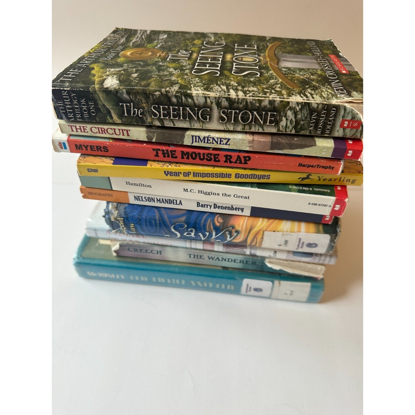 Lot of 10 Children's Chapter Books - Grades 4-6, Classroom Library, Home Library