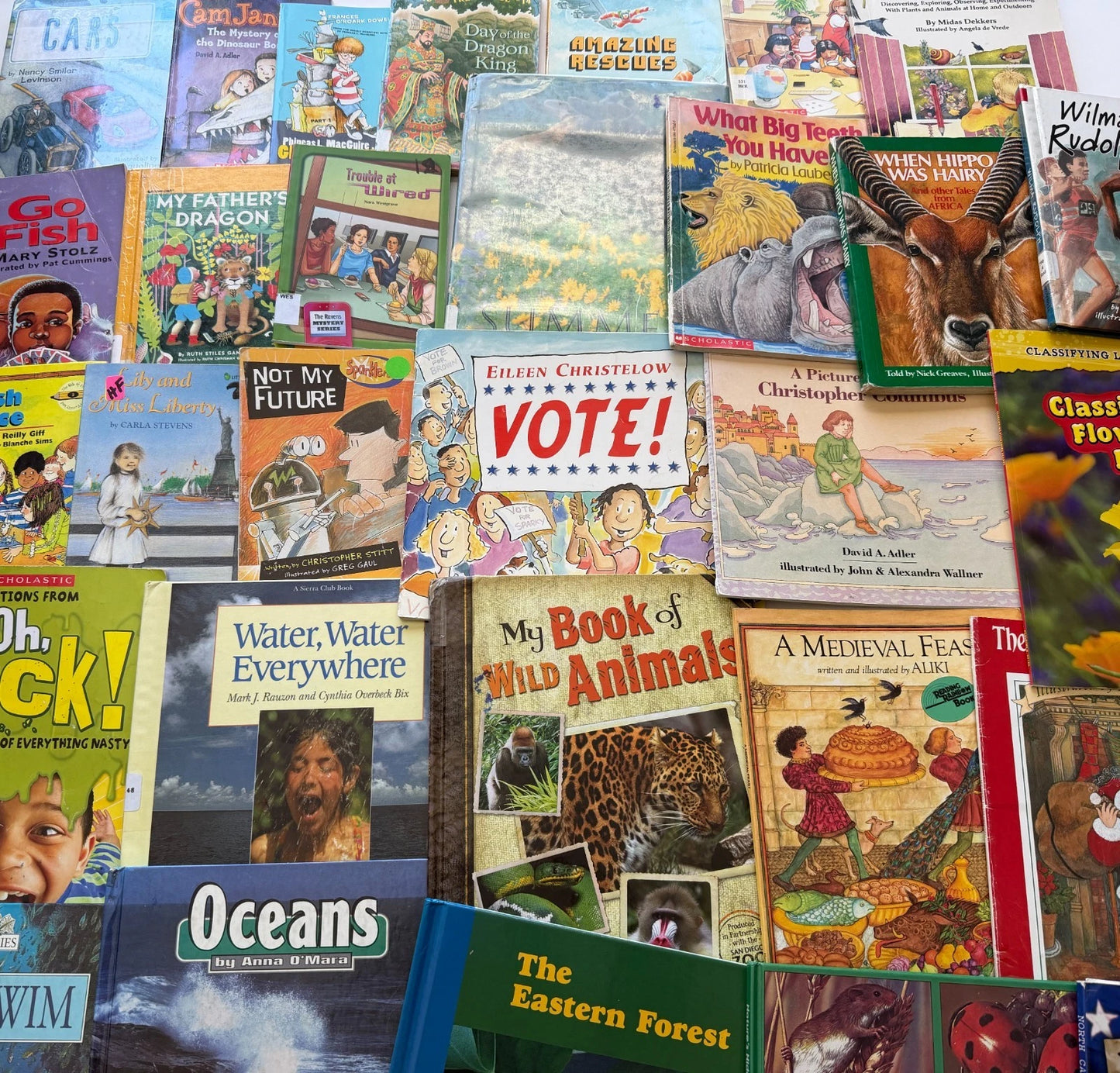 Lot of 20 Children's Books, Grades 2-3