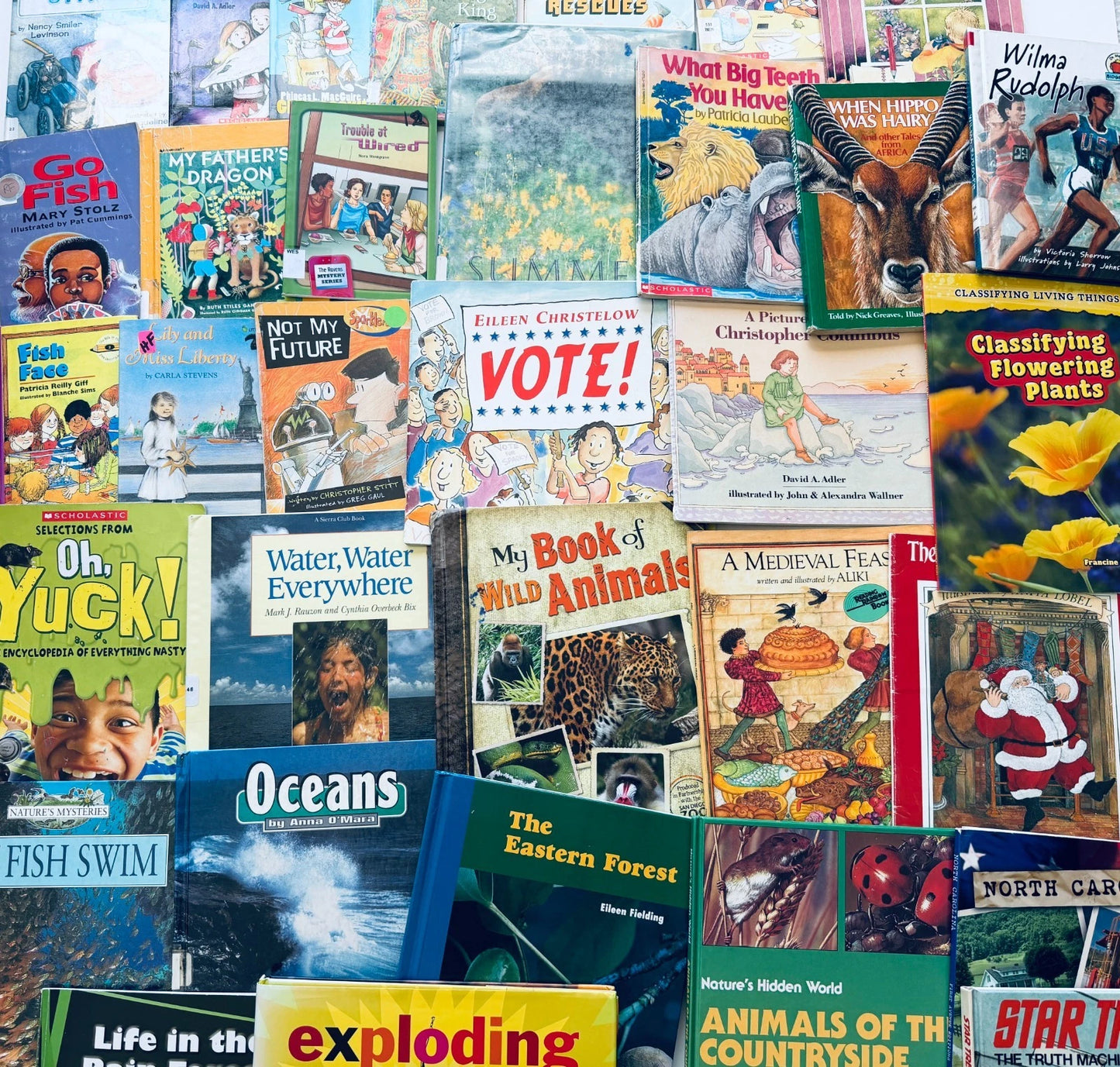 Lot of 20 Children's Books, Grades 2-3