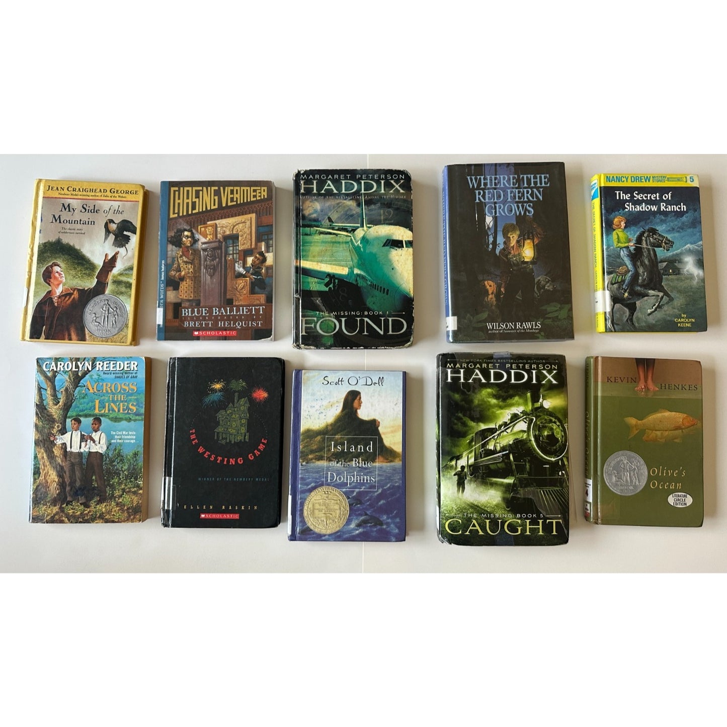 Lot of 10 Classic Grade 5 & Award-Winning Chapter Books