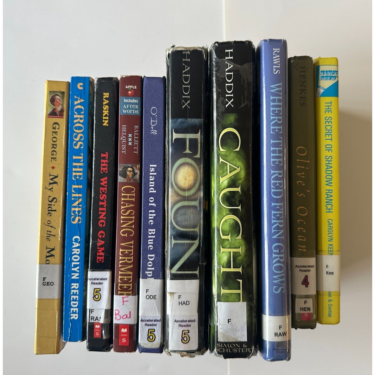 Lot of 10 Classic Grade 5 & Award-Winning Chapter Books